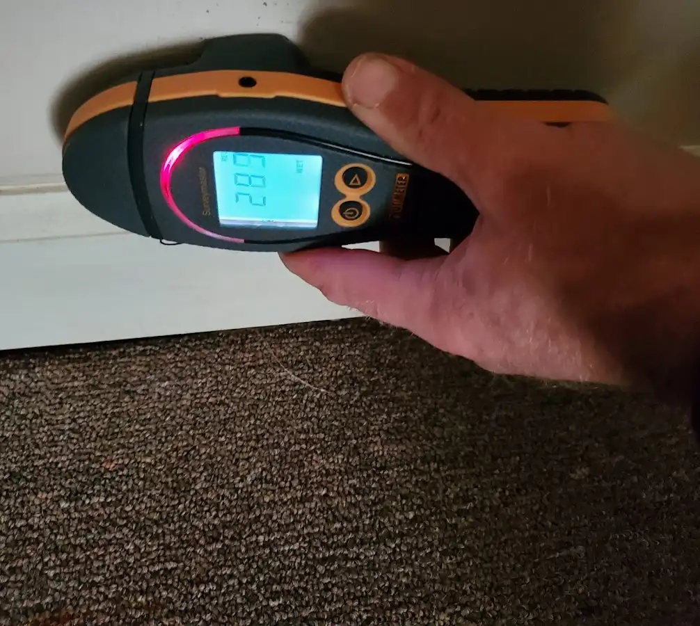 Moisture detection at baseboard during Sewage Cleanup & Sanitation in Marysville